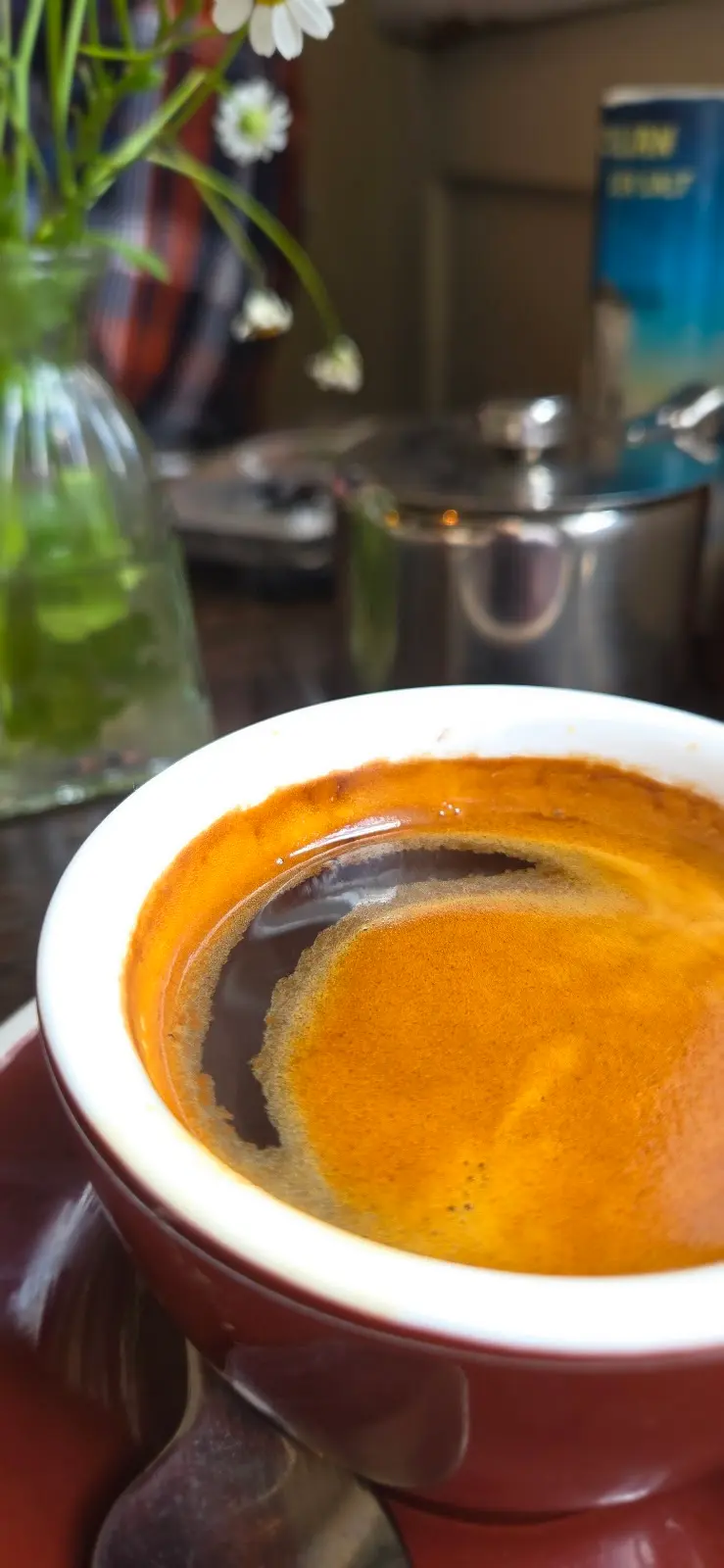 Tribu Coffee photo 4