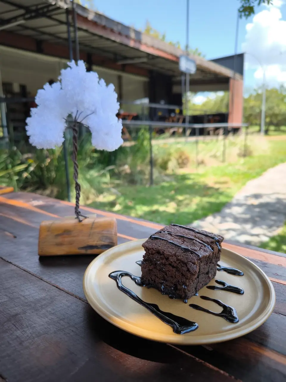 Cerrado Vivo Café, foto 7