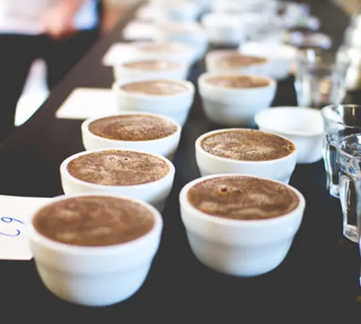 Growers Espresso photo 7
