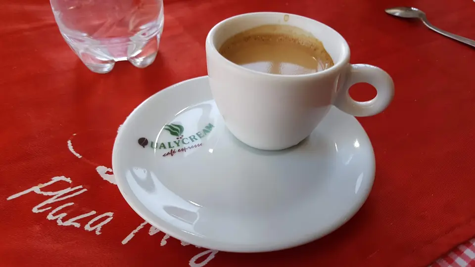 Café Plaza photo 3