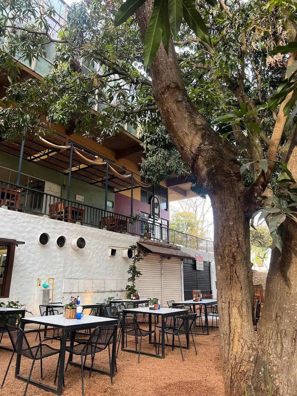 Castanho Café, Brasília