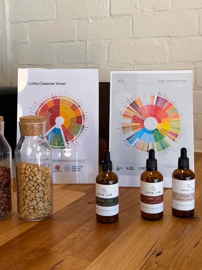 Zest Coffee Tasting Experience Studio photo 2