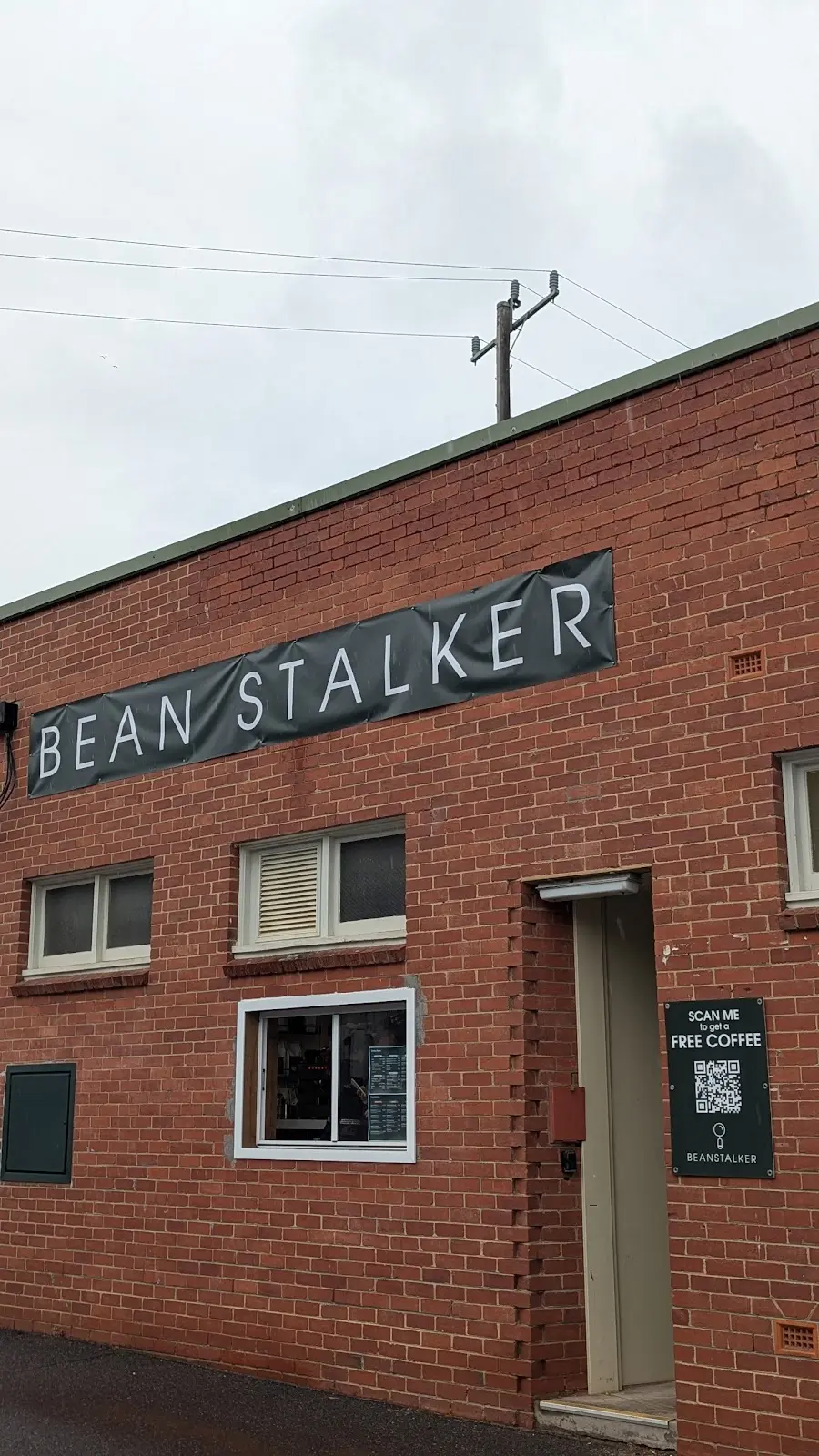 Bean Stalker photo 8