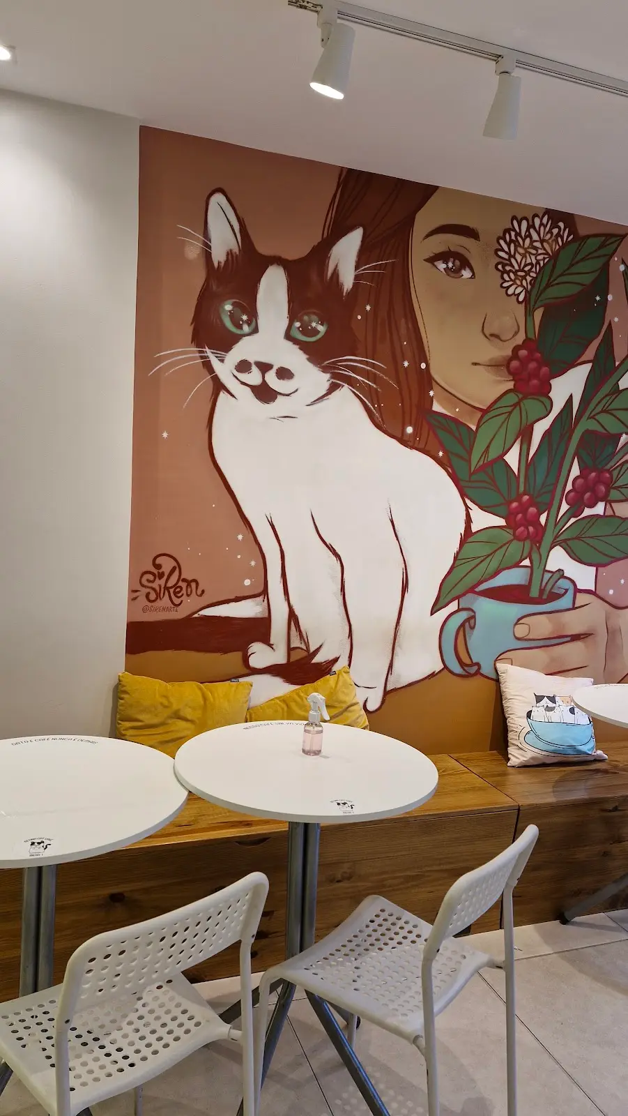 Betina Cat Café, Brasília