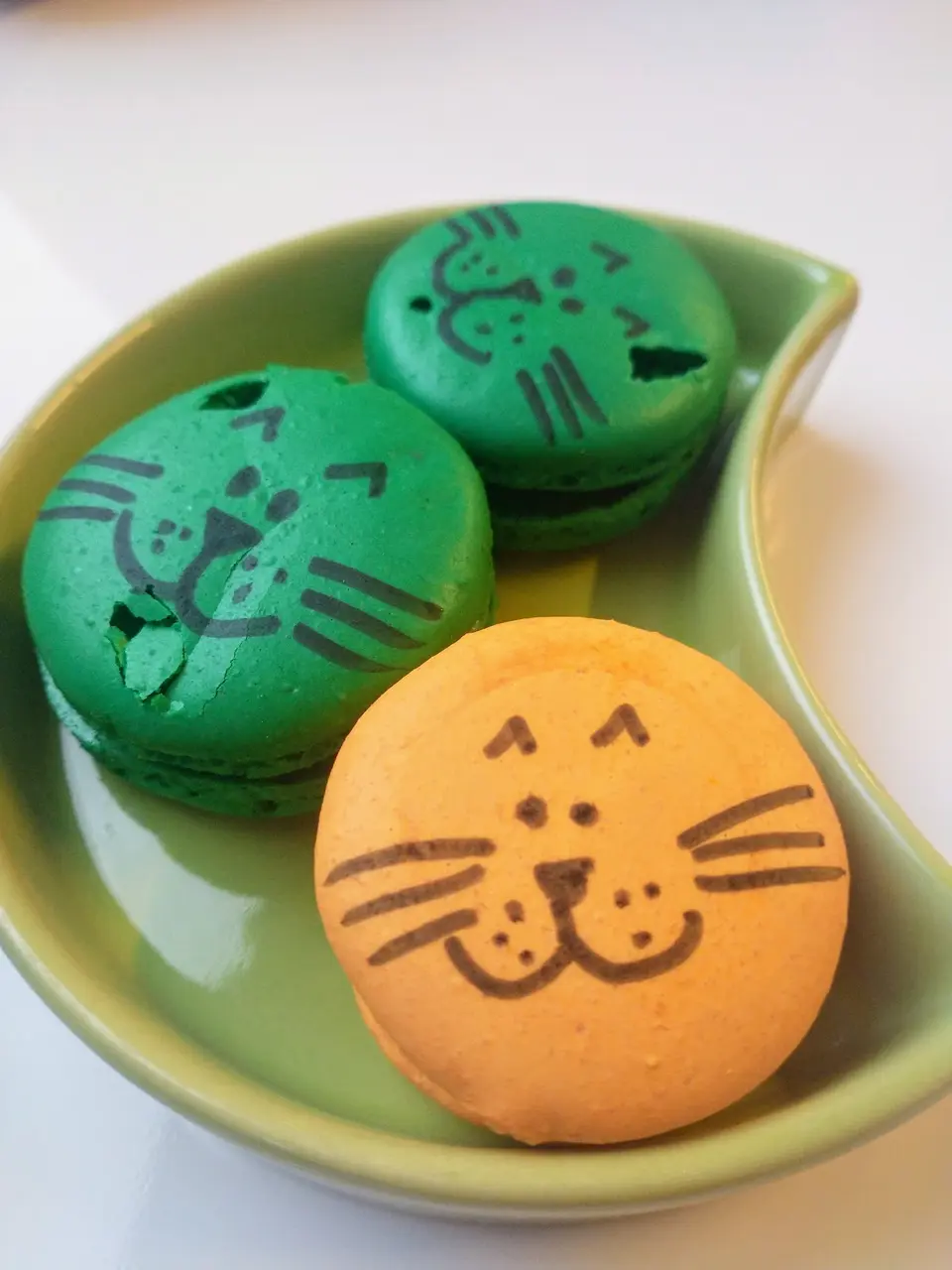 Betina Cat Café, foto 5