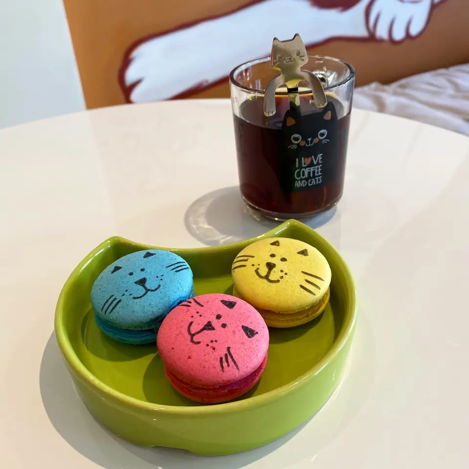 Betina Cat Café, foto 6