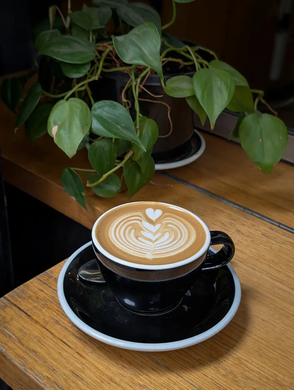 Traveller Coffee photo 4