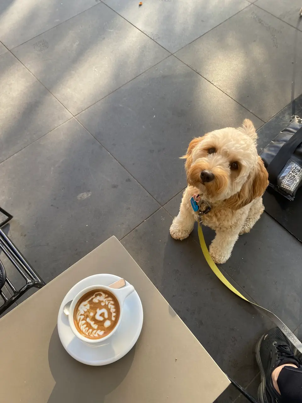 Foremost Coffee St Kilda Rd photo 6