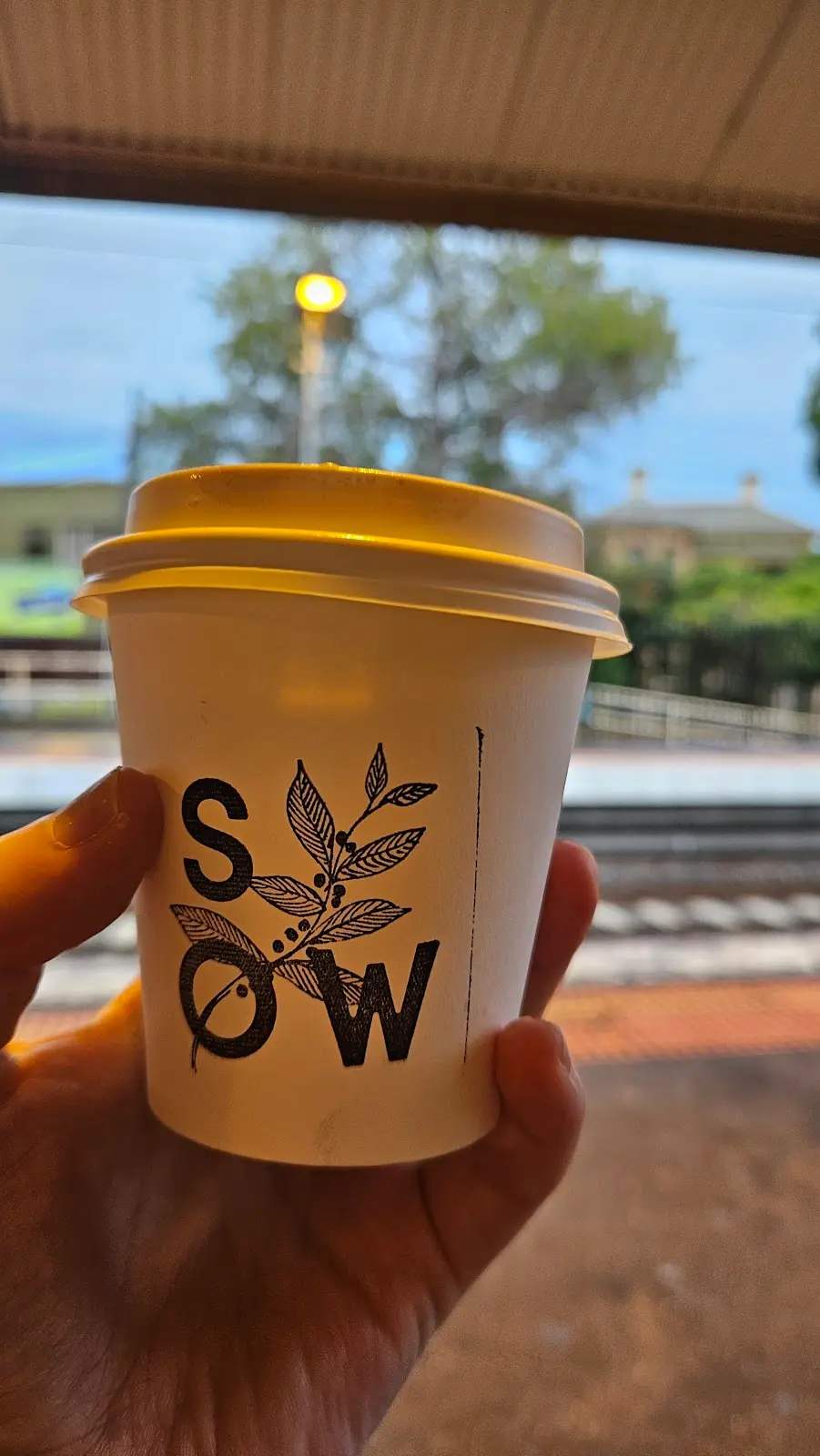 Sow Coffee Moonee Ponds photo 4