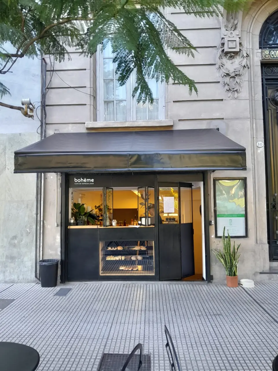 Café Boheme photo 7