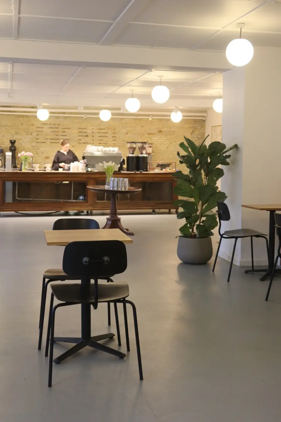 norange coffee roasters photo 3