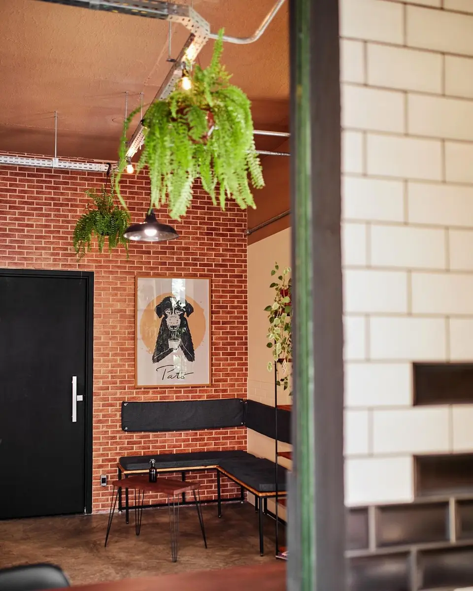 Pató Cafeteria, foto 8