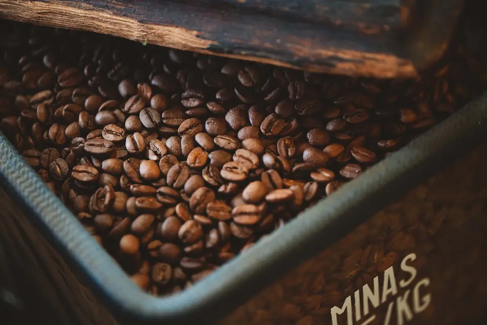 Ciscos Coffee photo 4